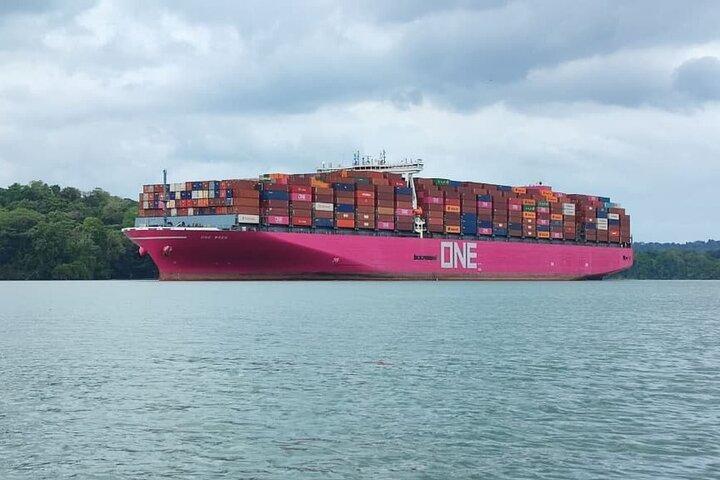 Panama Canal Tour: New Locks Agua Clara, Gatun & Atlantic Bridge
