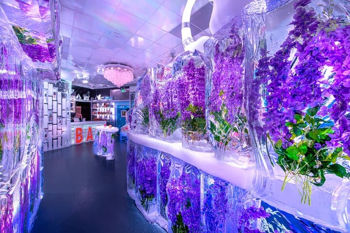 Minus5 Ice Bar Admission Ticket at The LINQ Las Vegas