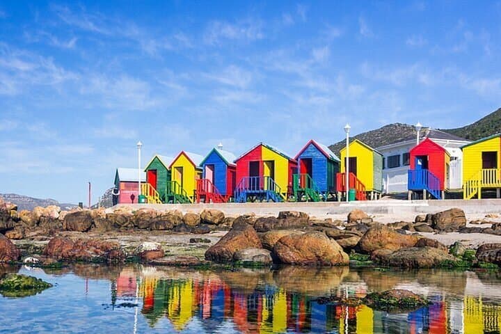 Cape Peninsula BoKaap Cape of Good Hope and Boulders Beach Tour
