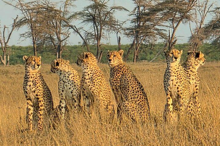 Kilimanjaro & Elephants: 3-Day Amboseli & Nairobi Safari