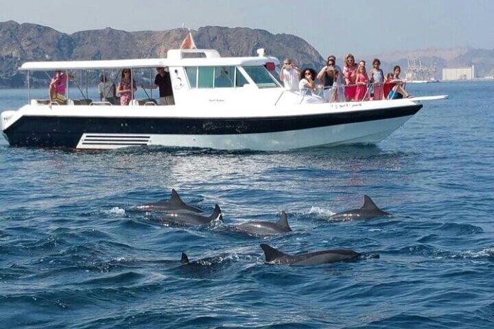 Muscat Dolphin Watching and Coastal Sightseeing