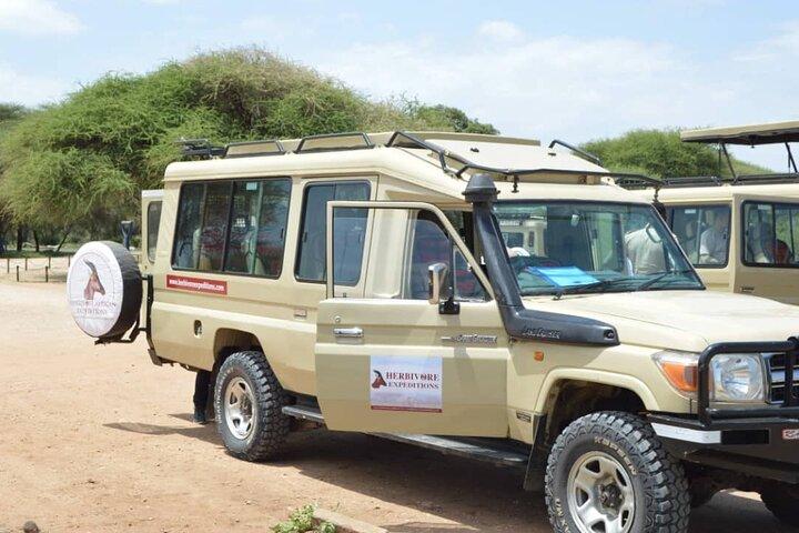 5 Day Fly In Safari Serengeti Migration