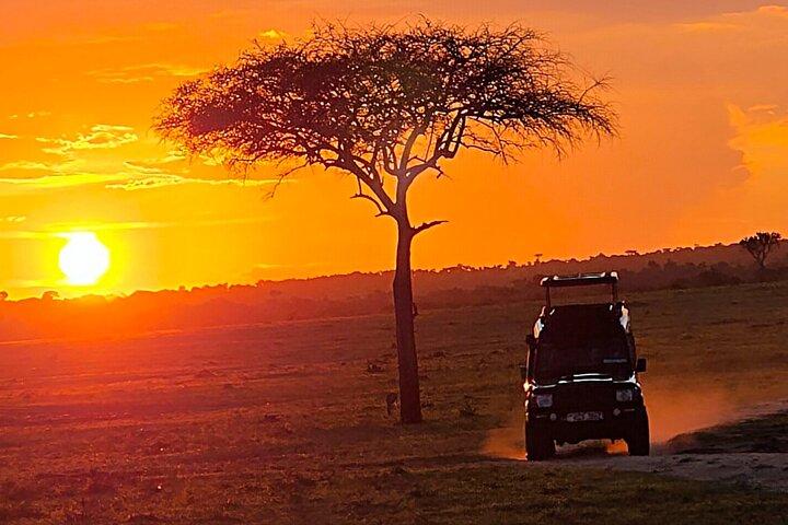 4-days Masai mara and Lake Nakuru guided Safari from Nairobi