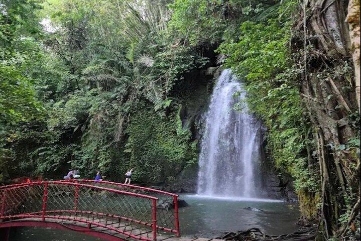 Ubud Half Day Private Tour Rice Terraces Temple Waterfall