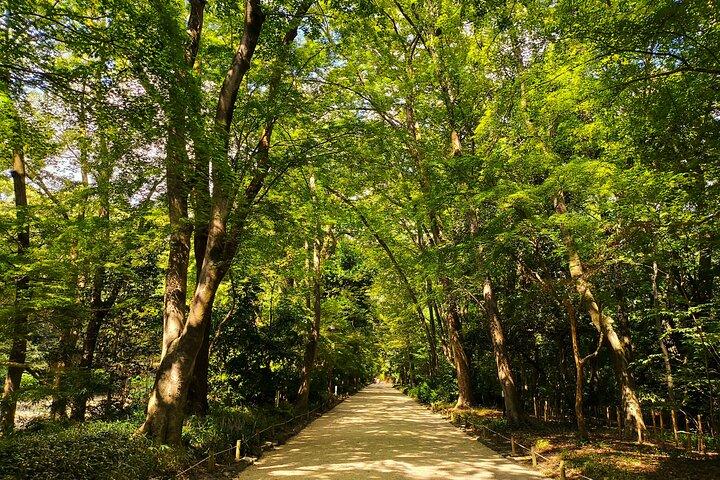 Kyoto Off The Beaten Path: Hidden Zen Garden & Magical Shrine