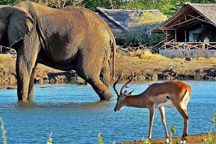 Shared Multi Day Safari in Tsavo National Park