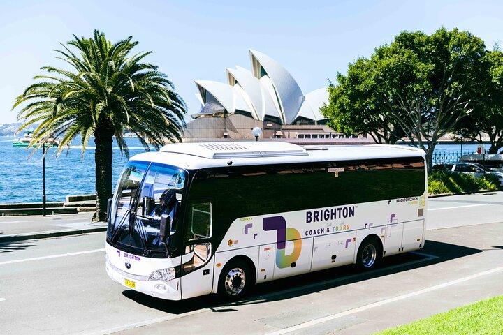 Half-Day Sydney Rocks Walking and Bondi Beach City Tour