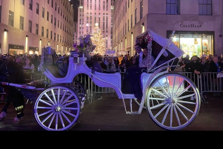 Amazing Horse and Carriage Rockefeller and Christmas lights tour