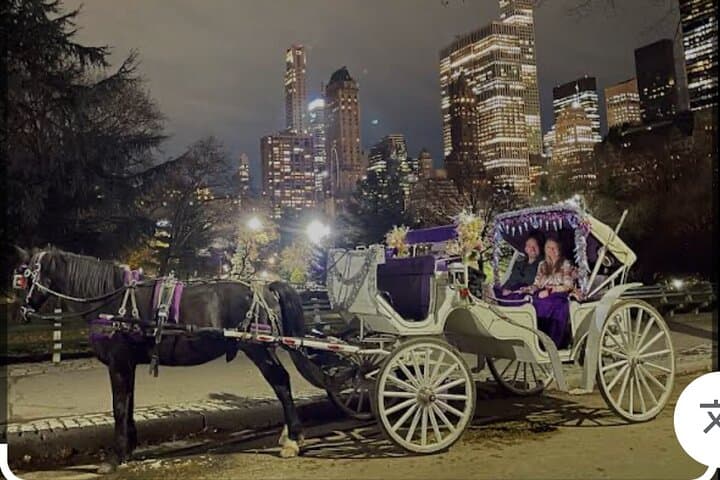 Amazing Horse and Carriage Rockefeller and Christmas lights tour