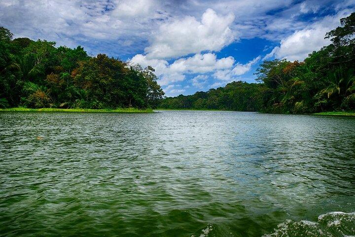 Gatun lake wildlife expedition and Miraflores locks private tour