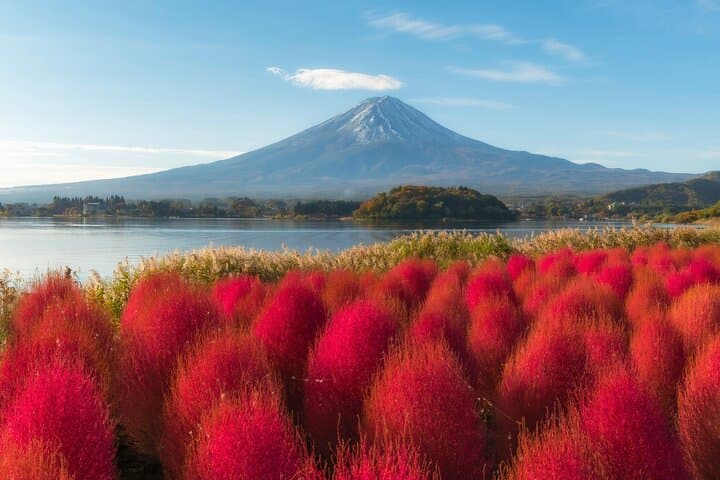 From Tokyo Mt.Fuji, Lake Kawaguchi, Makaino Farm day tour