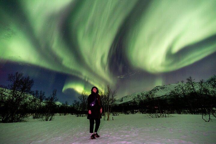 Tromsø: Aurora Magic Northern Lights Tour with Photos