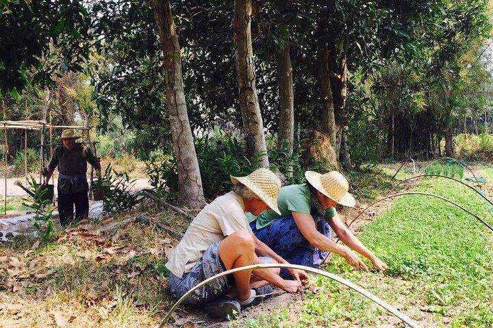 Full Day Siem Reap Farm Tour with Cooking Class and Monk Blessing