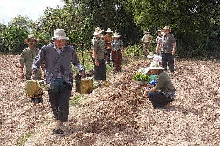 Full Day Siem Reap Farm Tour with Cooking Class and Monk Blessing