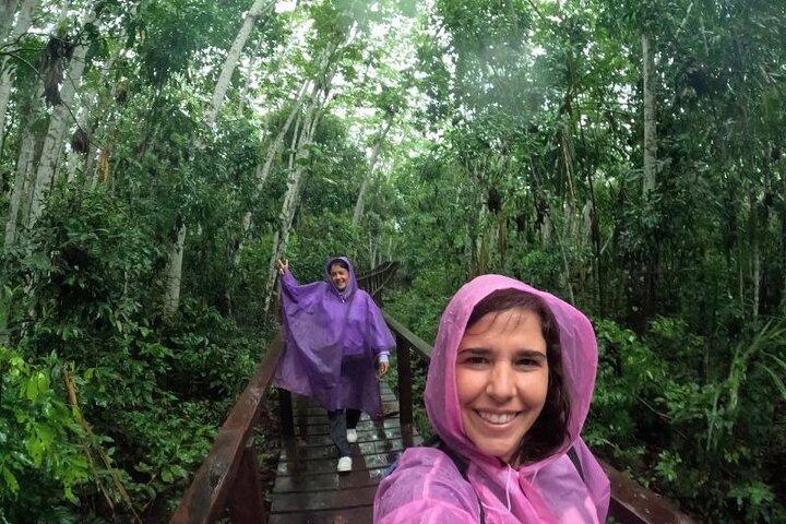 Amazon Jungle + Sandoval Lake 3-Day Tour from Puerto Maldonado