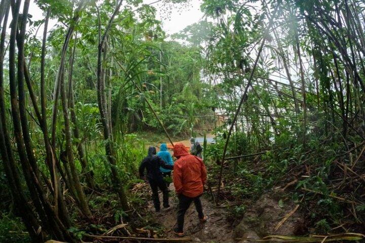 Amazon Jungle + Sandoval Lake 3-Day Tour from Puerto Maldonado