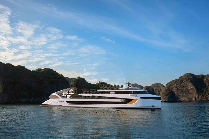 From Habor: Dolphin 5-Star Luxury Day Cruise through Halong Bay