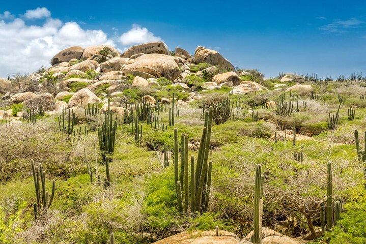 Aruba Natural Pool Jeep Adventure – Natural Bridge & Casibari