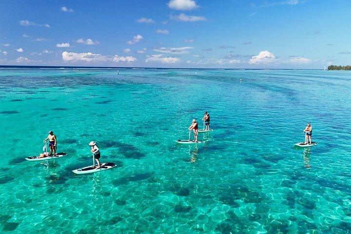 Private Excursion with E-Board in Moorea with snorkeling