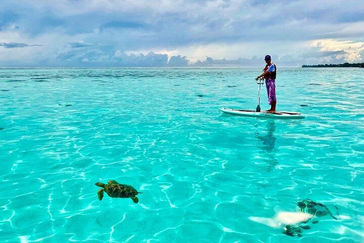 Private Excursion with E-Board in Moorea with snorkeling