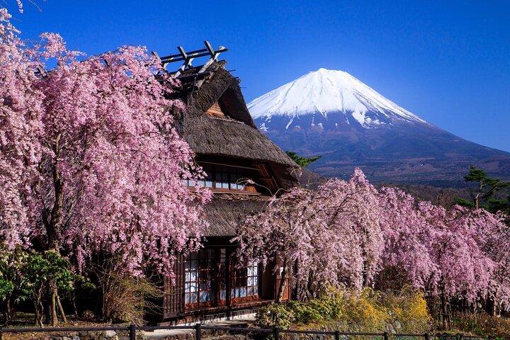 Muslim Friendly Mt. Fuji Tour with Halal Lunch and Prayer Time