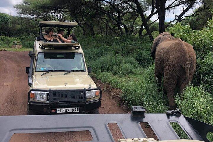 3 Days Great Migration Safari at Serengeti & Ngorongoro Crater