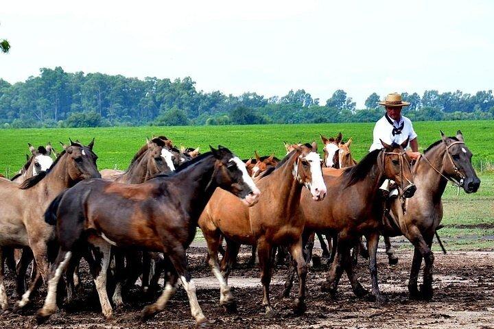 12-Day Trip Exploring Buenos Aires, Iguazu & Rio de Janeiro