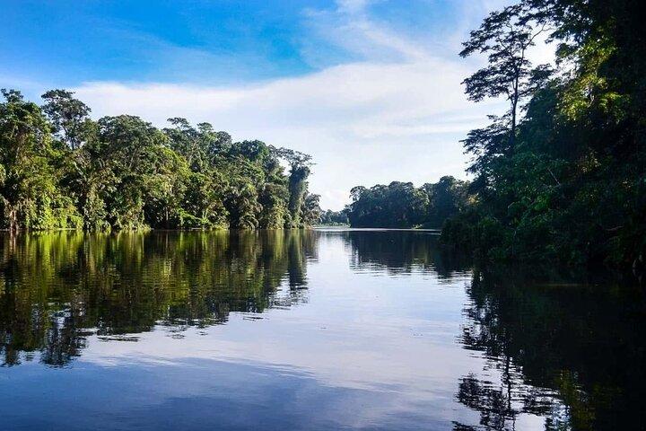 Canoe Tour in Tortuguero Ecological Exploration of the Canals