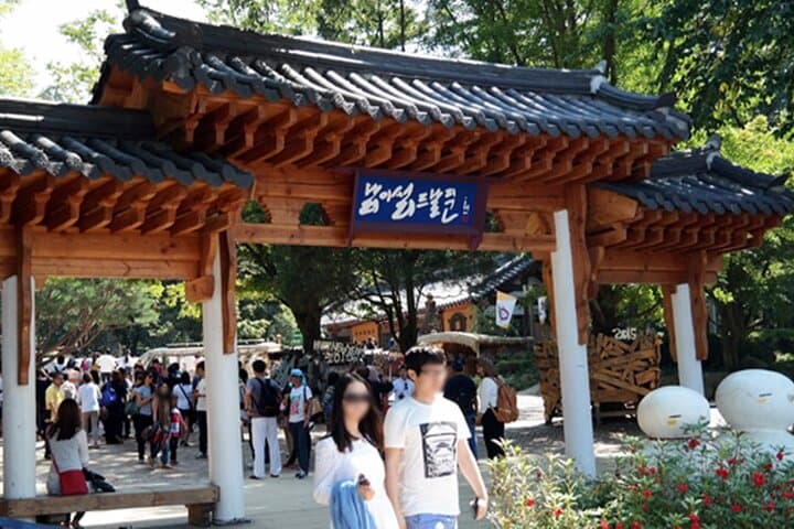 Nami Island and Rail Bike Day Trip from Seoul