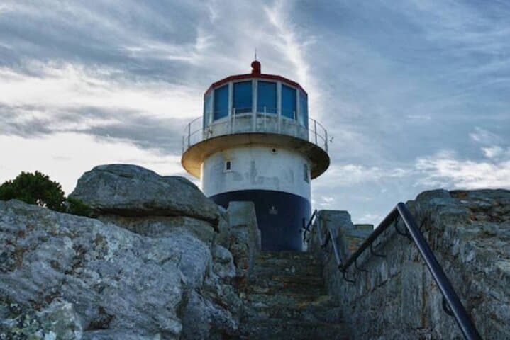 Cape Town Private Tour Table Mountain Penguins and Cape Point