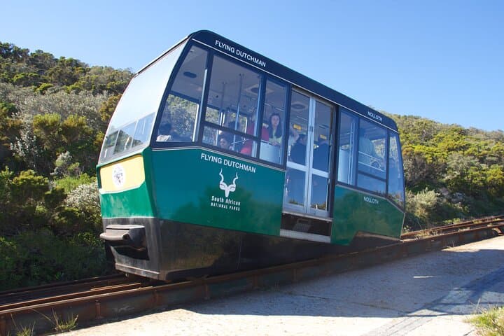 Cape Town Private Tour Table Mountain Penguins and Cape Point
