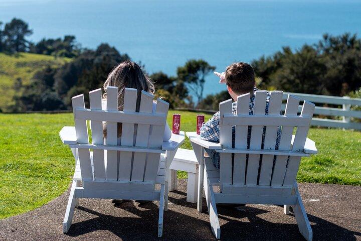 Boutique Waiheke Island Wine, Gin and Food Tour