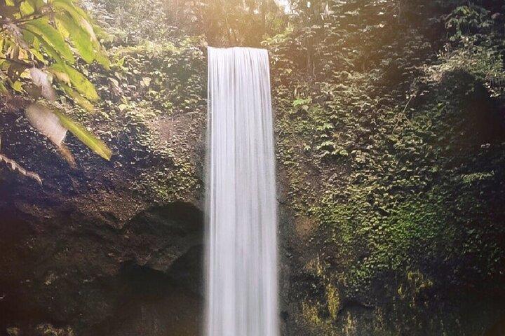 Best of Ubud Waterfalls, Tegalalang Rice Terrace & Jungle Swing