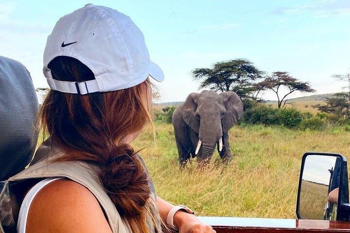 2 Days Endless Adventure Safari at Amboseli (Mid Range Tour)