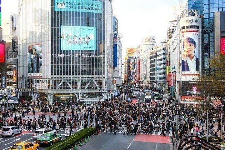 All Inclusive Tokyo Private Guided Tour with Hotel Pickup