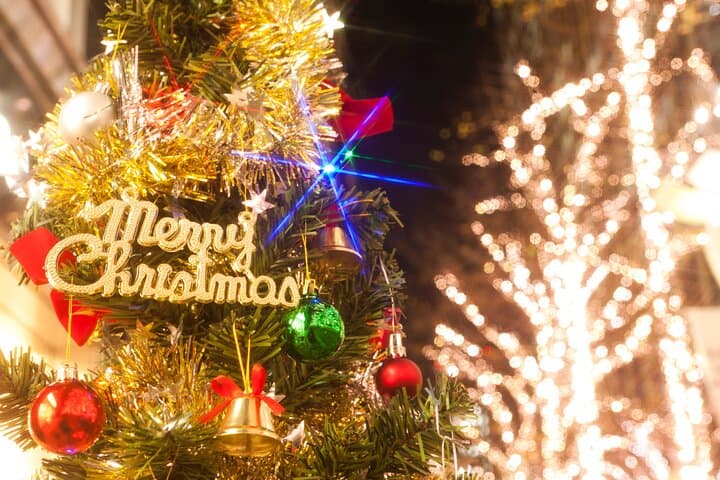 Experience the Magic of Christmas in Tokyo by Private Vehicle