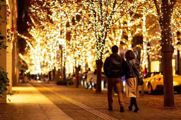 Experience the Magic of Christmas in Tokyo by Private Vehicle