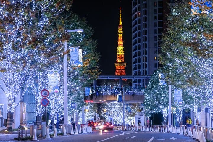 Experience the Magic of Christmas in Tokyo by Private Vehicle