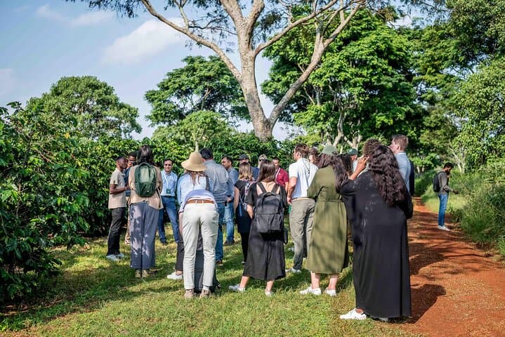 Coffee Farm Tour (Fairview)