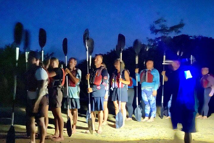 Clear Kayaks Bioluminescent Bay Tours in Vieques PR