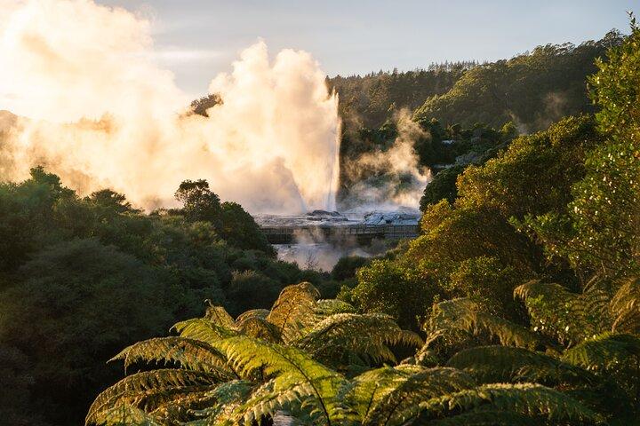 Auckland: Te Puia Rotorua & Waitomo Caves Small Group with Lunch