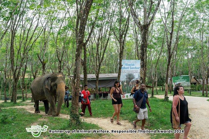 Khao Lak Elephant Sanctuary with Rubber Plantation & Waterfall