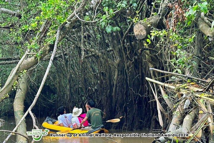 Khao Lak Elephant Sanctuary & Little Amazon Canoe Tour with Lunch