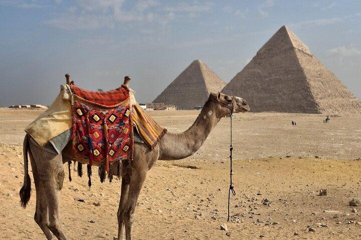 Grand Egyptian Museum and Pyramids Private Tour