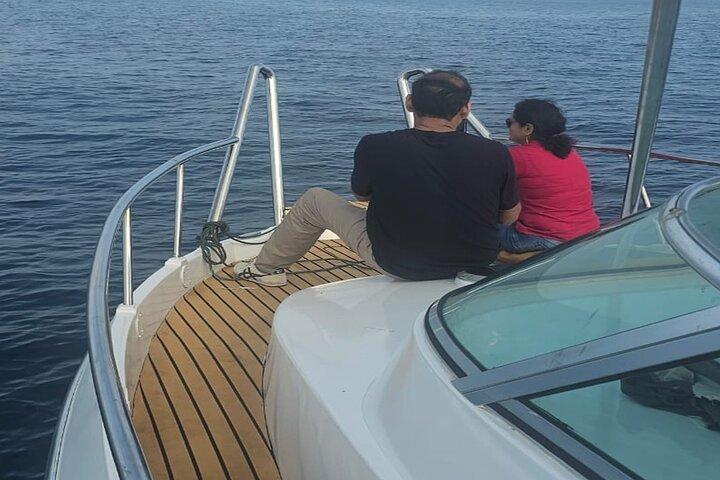 Private Whale Watching Tour by Luxury Speedboat from Mirissa