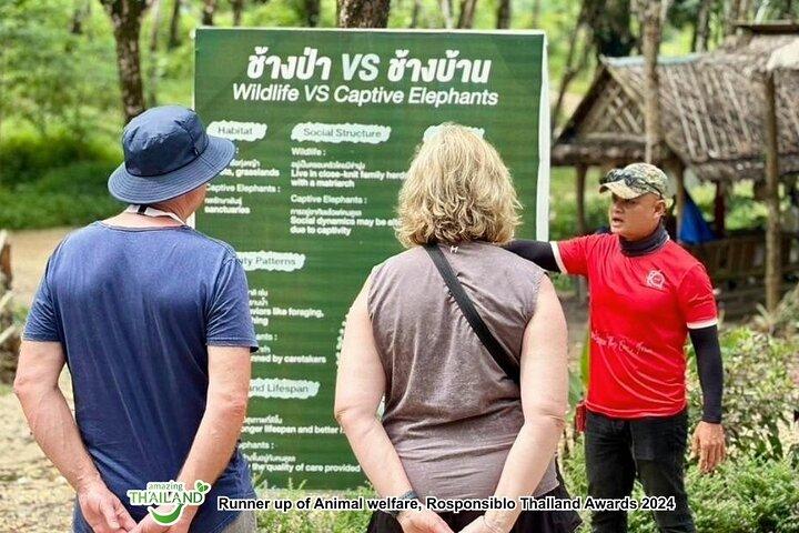 Khao Lak Ethical Elephant Sanctuary & Zipline Adventure