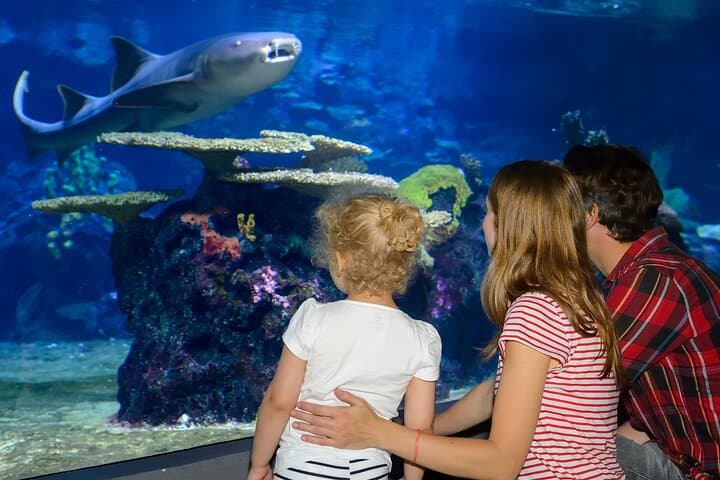 Istanbul Aquarium Tour with Hotel Transfer