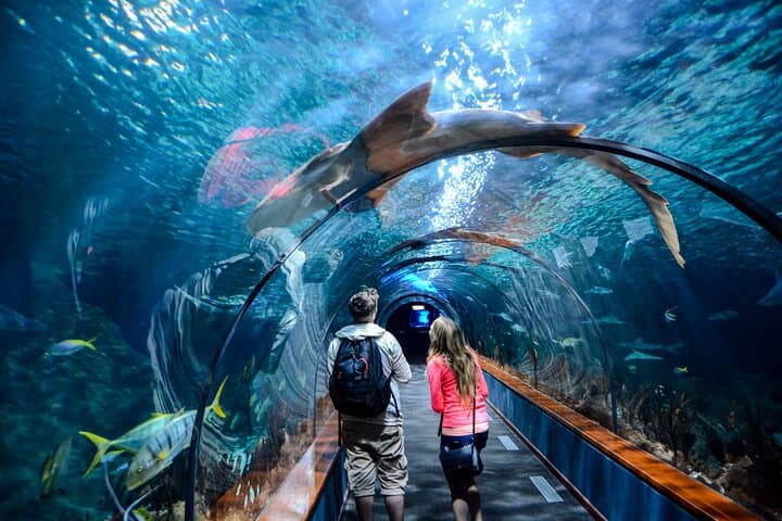 Istanbul Aquarium Tour with Hotel Transfer