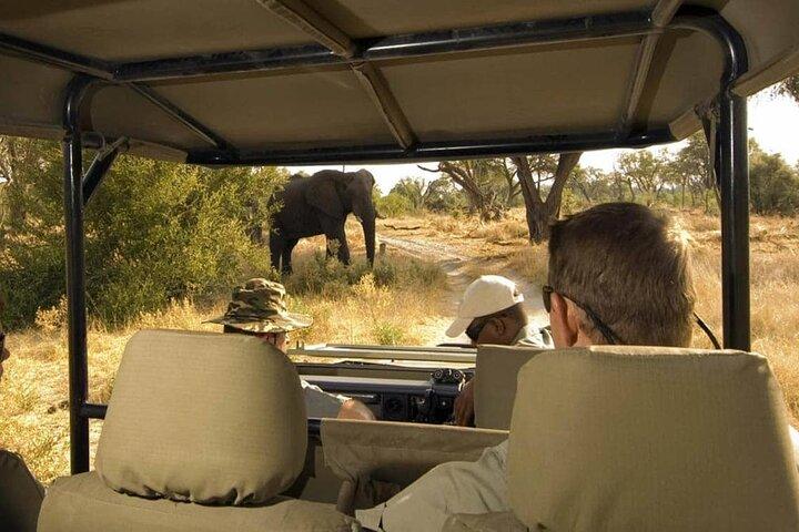 Moremi Full day Game Drive from Maun