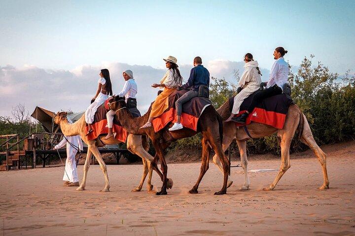 Luxury Desert Safari with Dune Bashing Camel Rides and BBQ Dinner